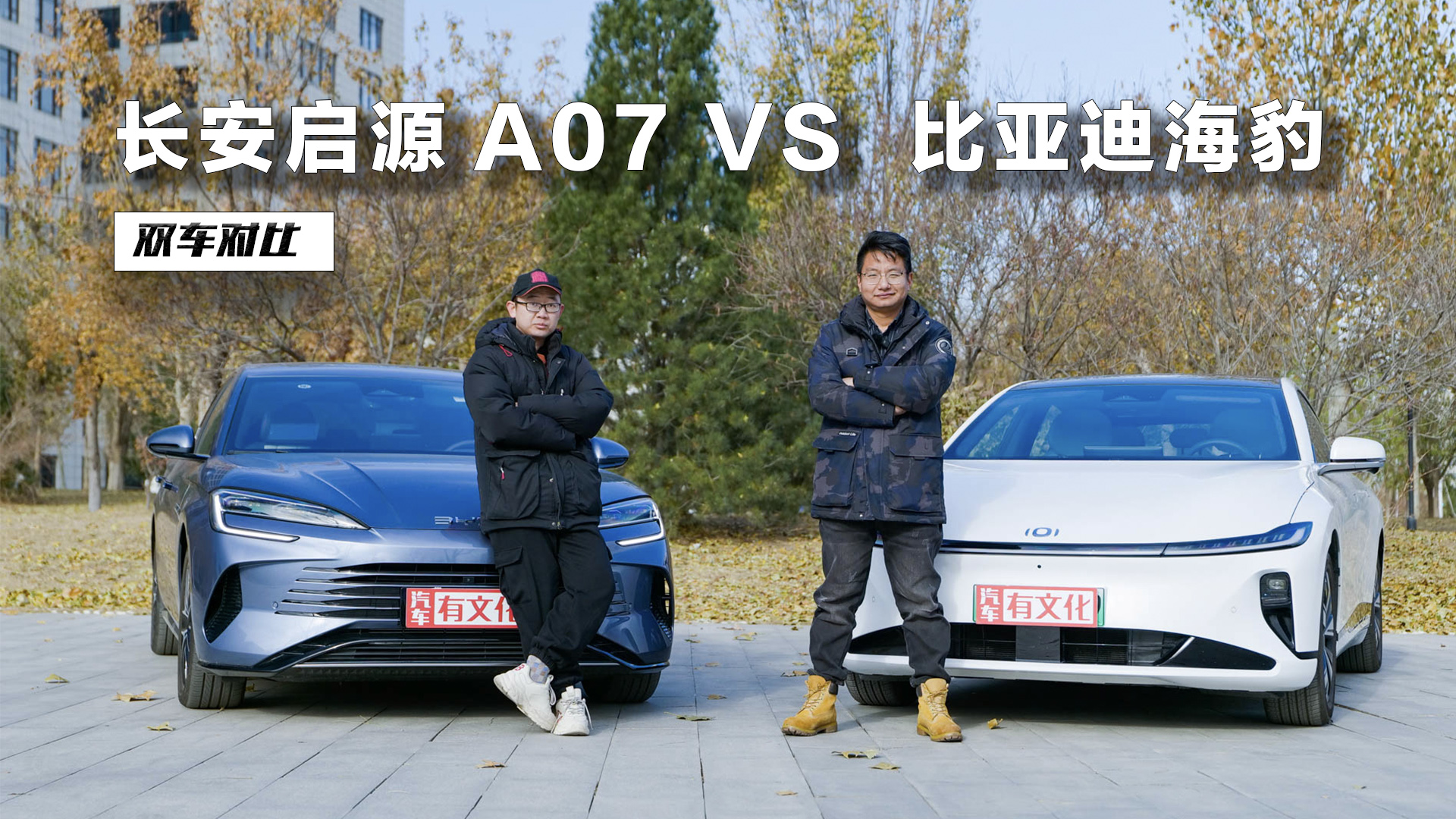 LԴA07 VS (dng)I(zhn)