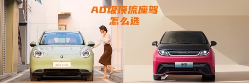 盘点A0级顶流新能源车，冬季女生用车谁更强更省钱