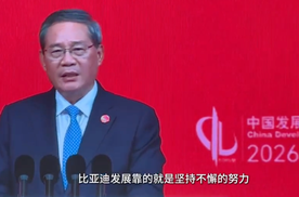 企业要坚持长期主义：中国发展高层论坛点赞比亚迪技术创新