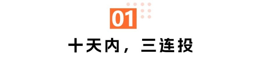 扎堆「氪金」中国新能源, 中东土豪为哪般?