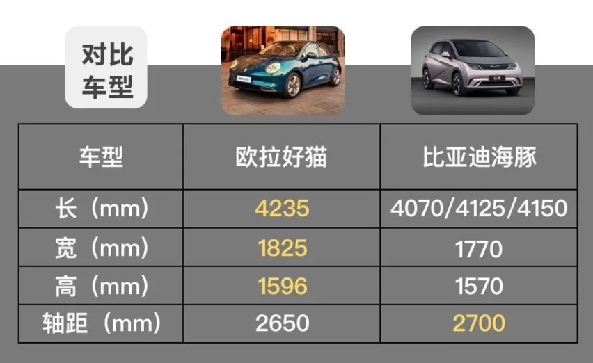 预算10万，买猫还是海豚？欧拉好猫和比亚迪海豚怎么选？