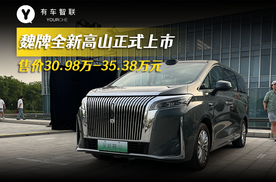 魏牌全新高山正式上市 售价30.98万-35.38万元