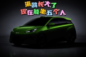 4米2车长+五座+激光雷达，比亚迪“大海鸥”来了！