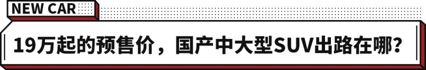 这辆全新2.0T大7座SUV很不错！预售19万起
