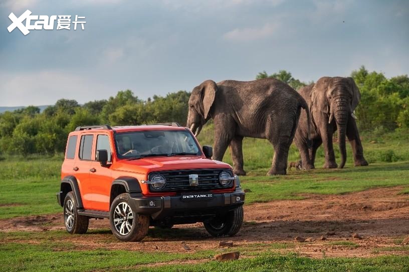长城汽车坦克300驰骋"彩虹之国" 开辟南非市场越野新品类-爱卡汽车爱