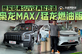 想买哈弗SUV这两款合适 到店体验枭龙MAX/猛龙燃油版