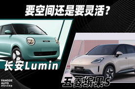 要空间还是要灵活？五菱缤果S和长安Lumin怎么选？