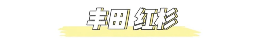 陆巡“大哥”全新丰田红杉发布!外观比凯雷德更年轻