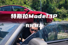 Model 3标续车主如何评价新3P？