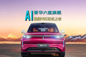 34.98万元起！魏牌V9X正式发布！