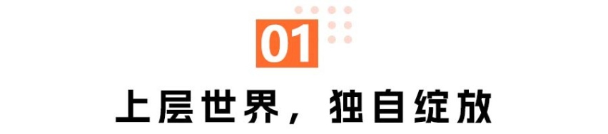 8月新能源销量：金九银十前的平静？