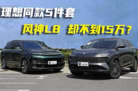 顶配不到15万，就能买到理想同款豪华五件套？