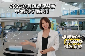 海狮06DM-i、海狮06EV探店实拍