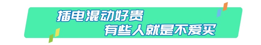 花几十年才能赚回差价，插电混动真有这么坑？