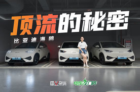 相比海豚，建议优先选比亚迪海鸥，原因只有1个