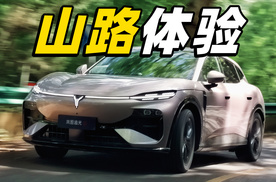 一台SUV如何让年轻人心动？岚图追光S