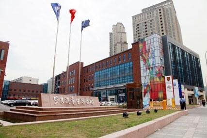 贾鸣镝“背锅”黯然离场，杨嗣耀接掌上汽奥迪
