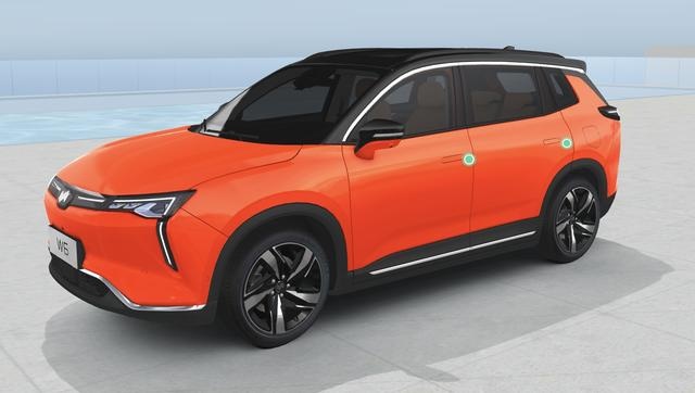 可无人自主泊车，20万元买威马W6，哪款更值得买？