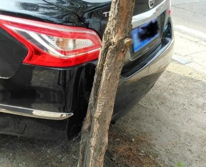 AT、CVT、双离合，为啥AT稳定性最高，口碑最好？