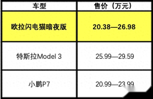 闪电猫性能比照Model3，外形近似帕梅，价格跟小鹏拼一下
