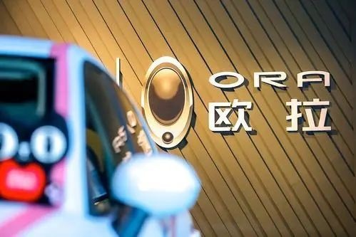 精挑细选后，可爱萌宠欧拉R1与时尚主播能擦出怎样的火花？