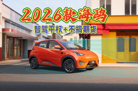激光雷达首次下放到A00级，2026款海鸥上市，智驾平权不搞期货