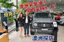 澳洲买柴油？国内买Hi4-T？2025款坦克300怎么选？
