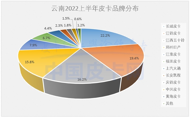 详解2022上半年全国31省皮卡终端销量（上）