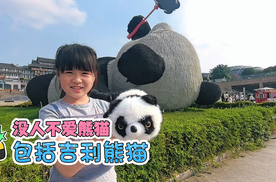 快上车！和吉利熊猫mini一起，沉浸式打卡大熊猫吉福