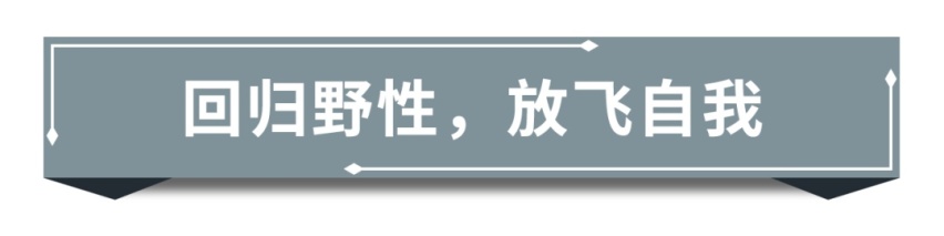 售价11.99-14.29万元,哈弗大狗潮玩新座驾正式上市