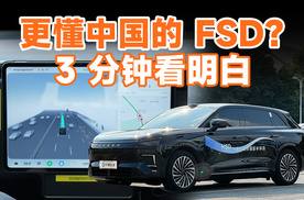 地平线 HSD 是更懂中国的 FSD？