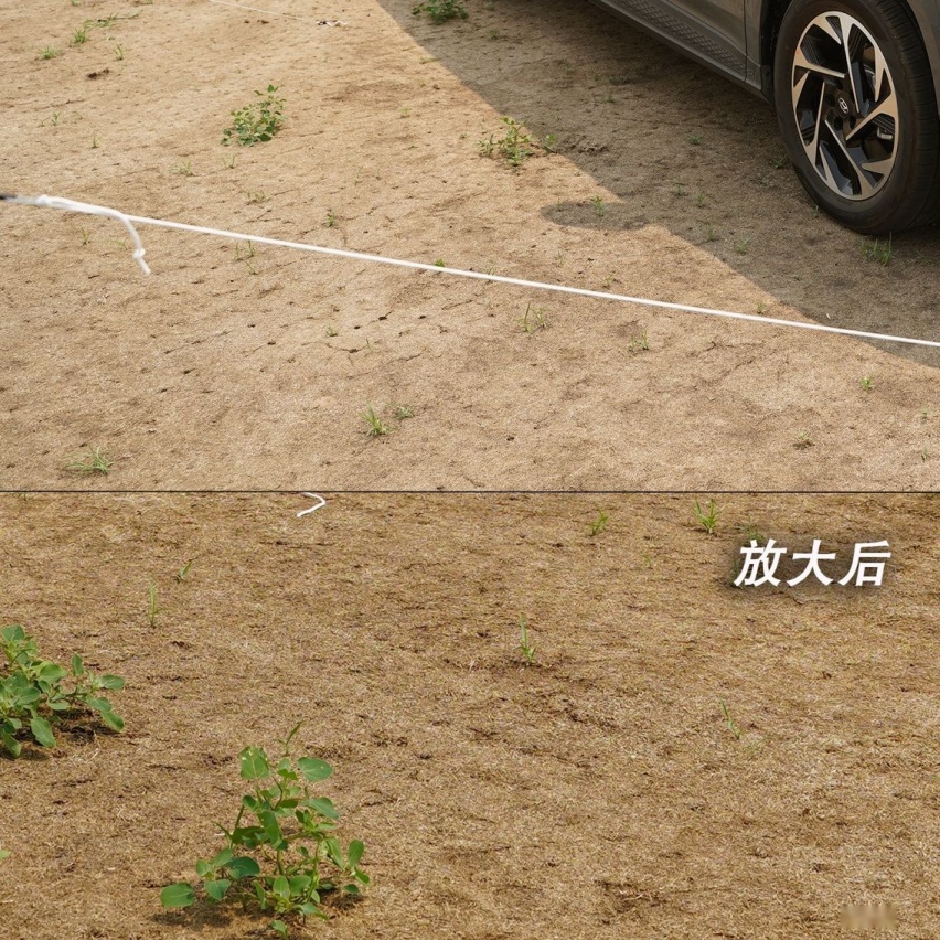 露营去吧 带你解锁周末带娃放电新玩法