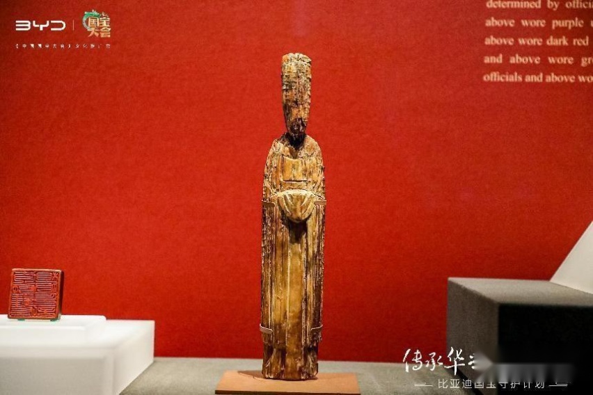 参加了比亚迪国宝守护计划之后,我想说