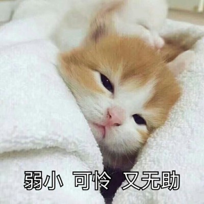 哈弗H6第三代“碰撞翻车”，害我“西瓜”掉了一地