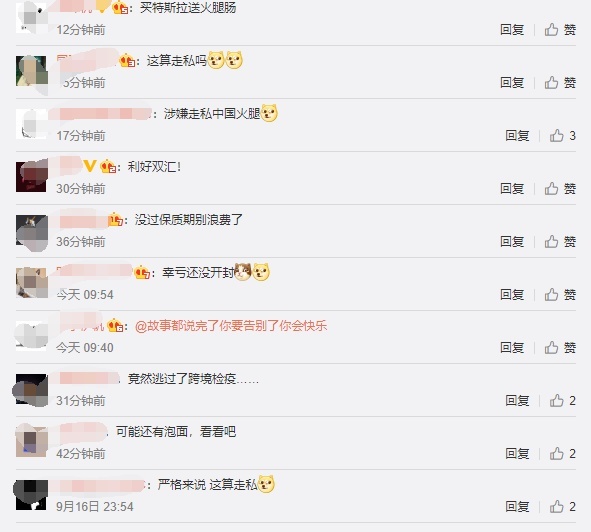 买中国产Model Y送火腿肠？挪威车主提新车，扶手箱有惊喜