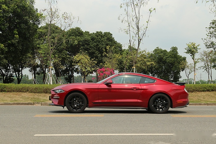 Mustang性能测试：骂2.3T野驴的，看完实测成绩还黑？