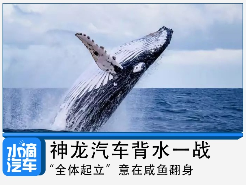 神龙汽车背水一战，“全体起立”意在咸鱼翻身