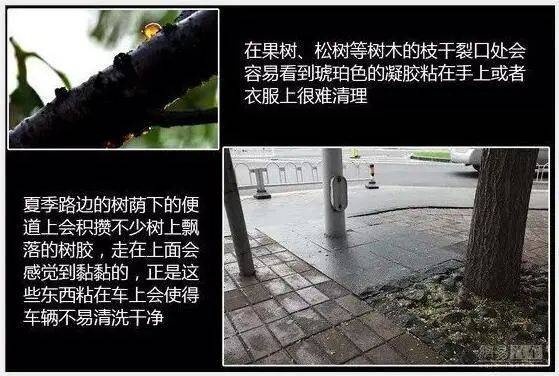 气候多变的季节 车漆也面临着各种考验 伤漆？“毁容”？不能忍！