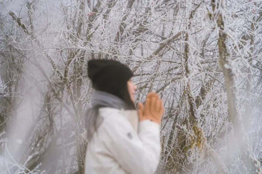 太子岭雪中行，美少女自驾天籁打卡记