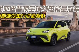 比亚迪登顶全球纯电销量冠军 新能源汽车行业新标杆