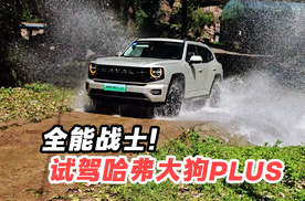 全能型战士！试驾长哈弗大狗PLUS