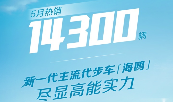 比亚迪海鸥购车手册，中配性价比最高，顶配千万别买？