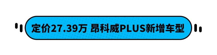 13万小钢炮？这些中国一哥品牌推新车 还不到13万起！