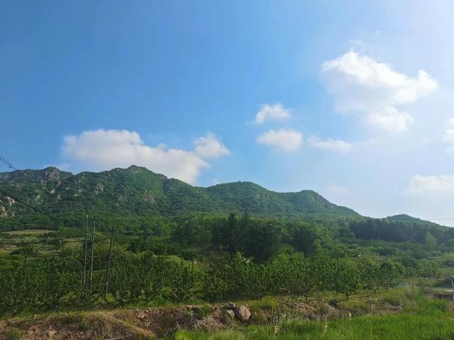 解决烧机油问题原来可以这么简单跑高速再也不用提心吊胆