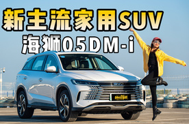 新主流家用SUV，比亚迪海狮05 DM-i