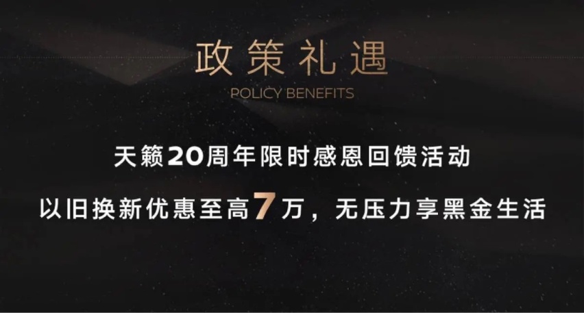新增专属配色+座椅加热通风，天籁20周年黑金版还能一战？