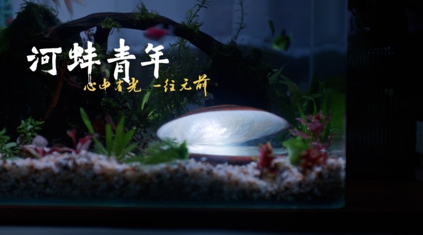 河蚌青年：珍珠源自沙子，磨砺造就光芒