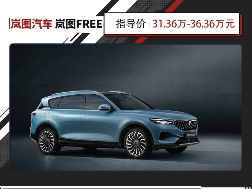 31万起！享受1040N·m扭矩的快感！岚图FREE新车上市