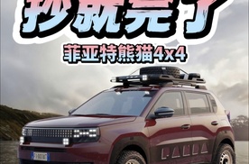 抄就完了 菲亚特熊猫4x4