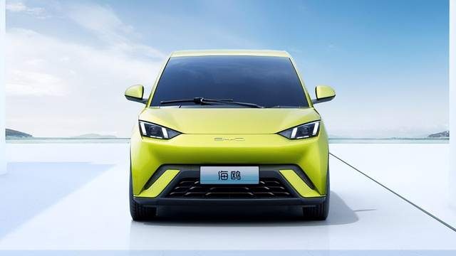 有了海豚，比亚迪为什么还要出一款更便宜的海鸥？